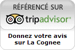 Trip Advisor